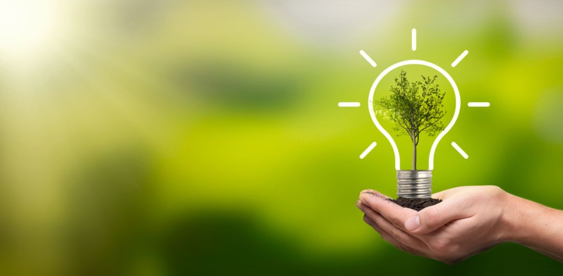 Empreendedorismo Sustentável: Negócios que Priorizam o Meio Ambiente